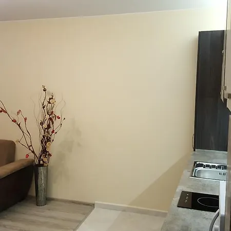 Apartment Ayberk *